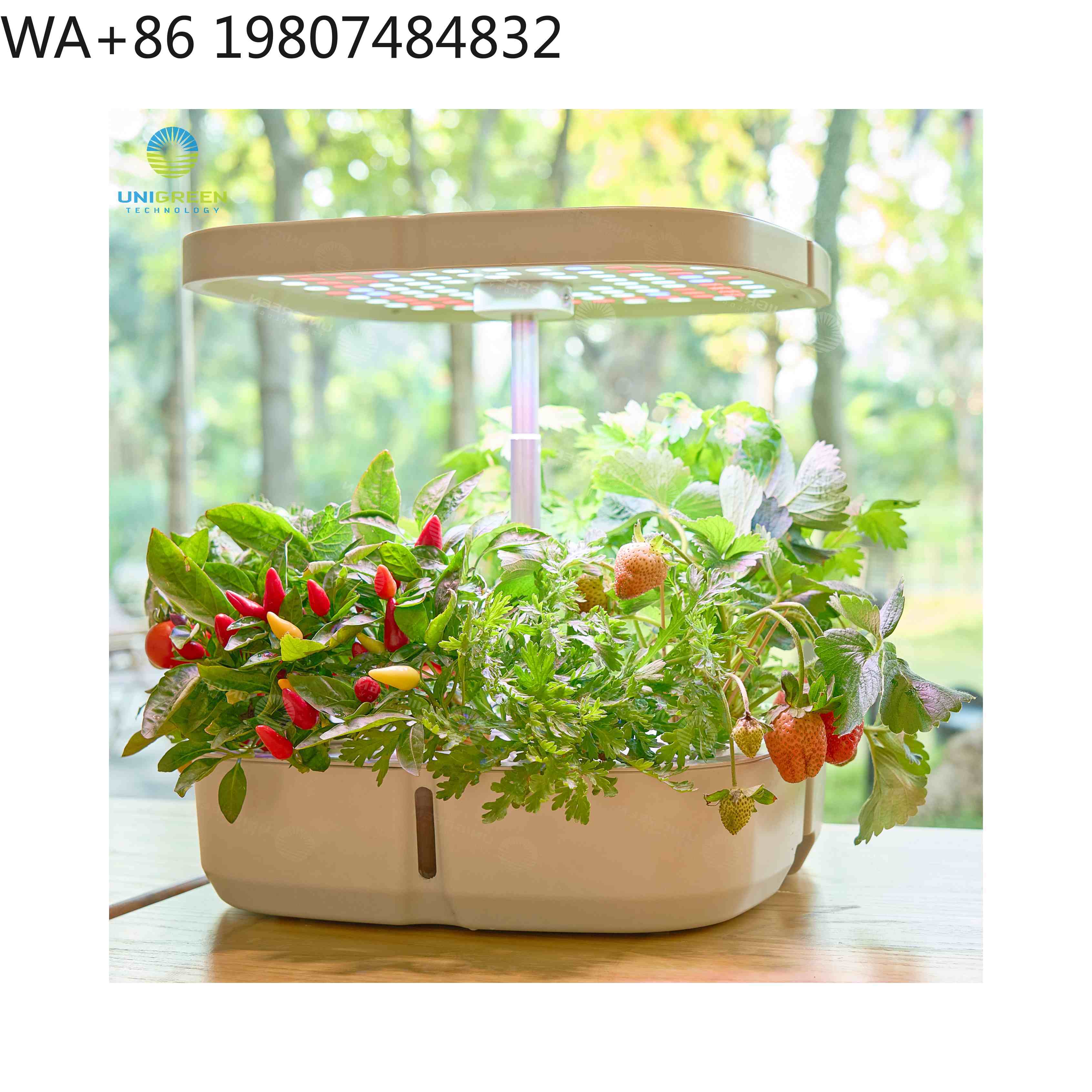 Hydroponic Grow Pod - 8 Bölmeli Mini Hidroponik Yetiştirme Kutusu