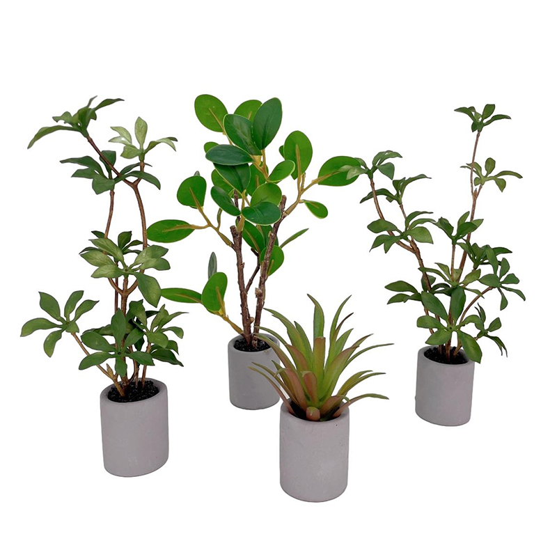 Smart Garden Mini - 1:6 Evcilik Minyatür Saksı Bitki Yeşil