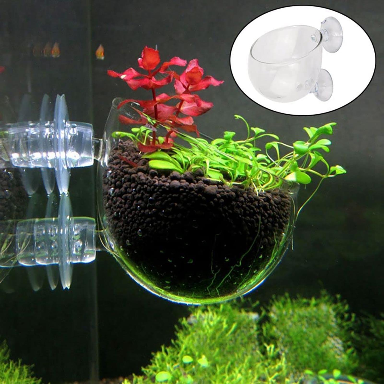 Hydroponic Grow Pod - Su Bitkisi Saksısı Şeffaf Akrilik Akvaryum
