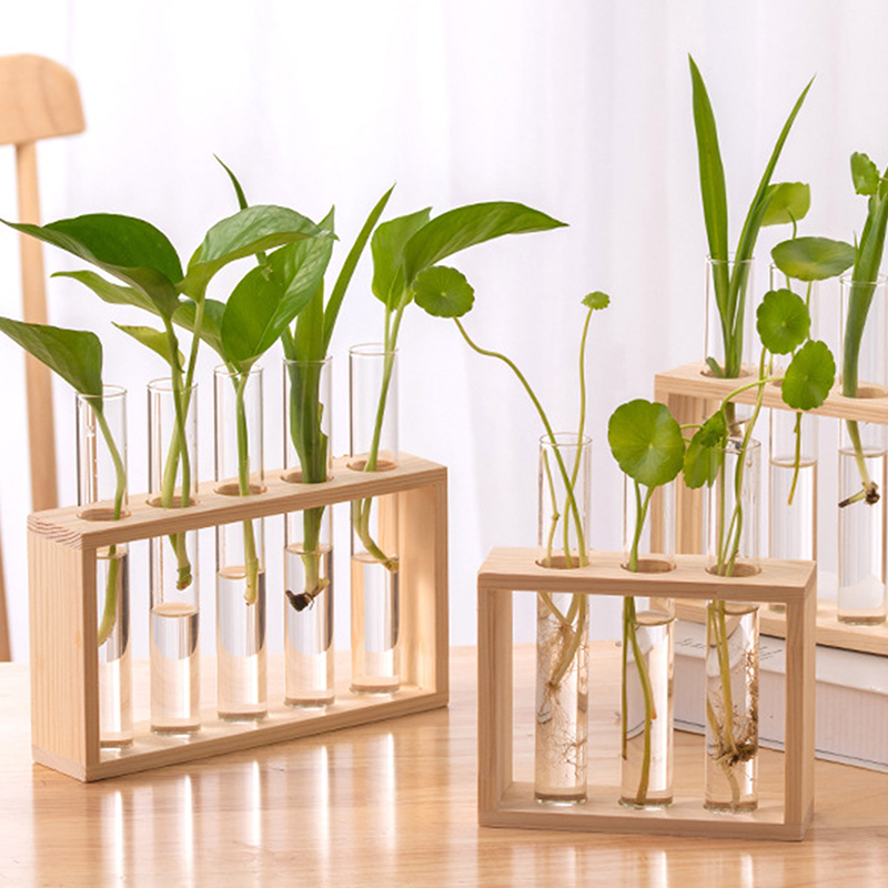 Hydroponic Grow Pod - Topraksız Bitkiler Konteyner Ahşap Çerçeve ile