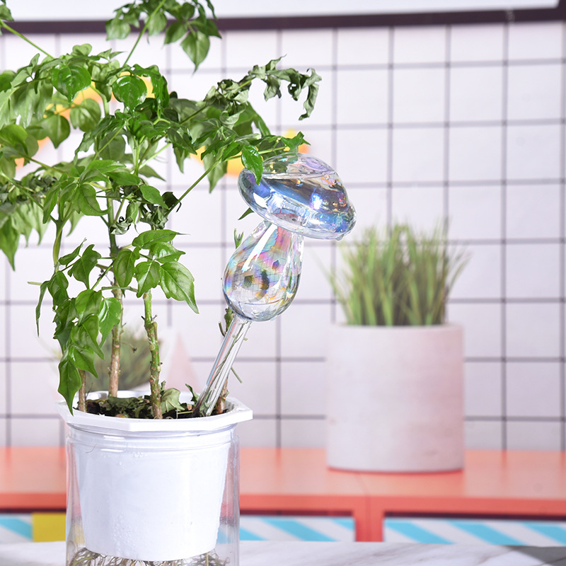 1/2 adet cam saman otomatik bi - Yoocaa Smart Garden incelemesi ve fiyatı