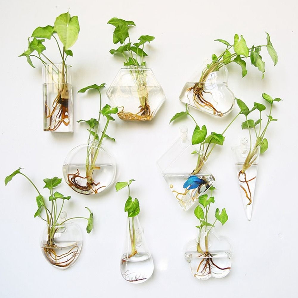 Hidroponik Bitkiler Ev Balık T - Hydroponic Grow Pod incelemesi ve fiyatı
