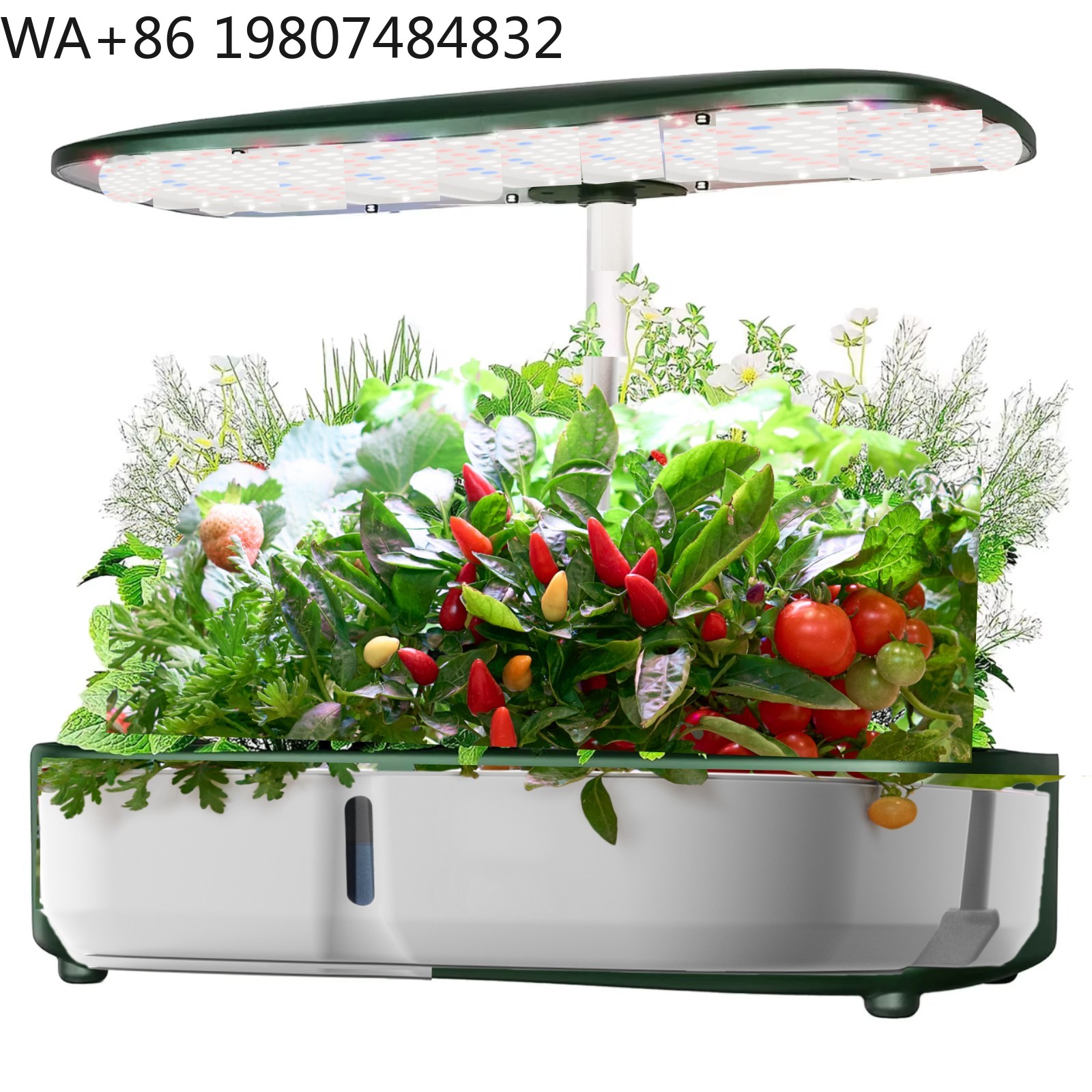 8 Bölmeli Mini Hidroponik Yeti - Hydroponic Grow Pod incelemesi ve fiyatı