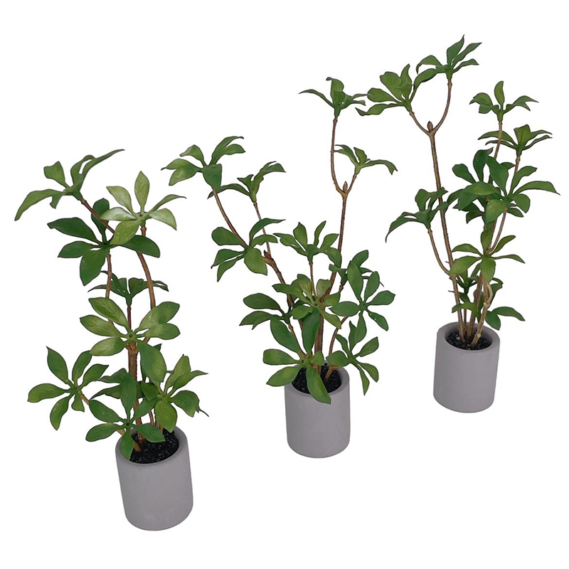 1:6 Evcilik Minyatür Saksı Bit - Smart Garden Mini incelemesi ve fiyatı