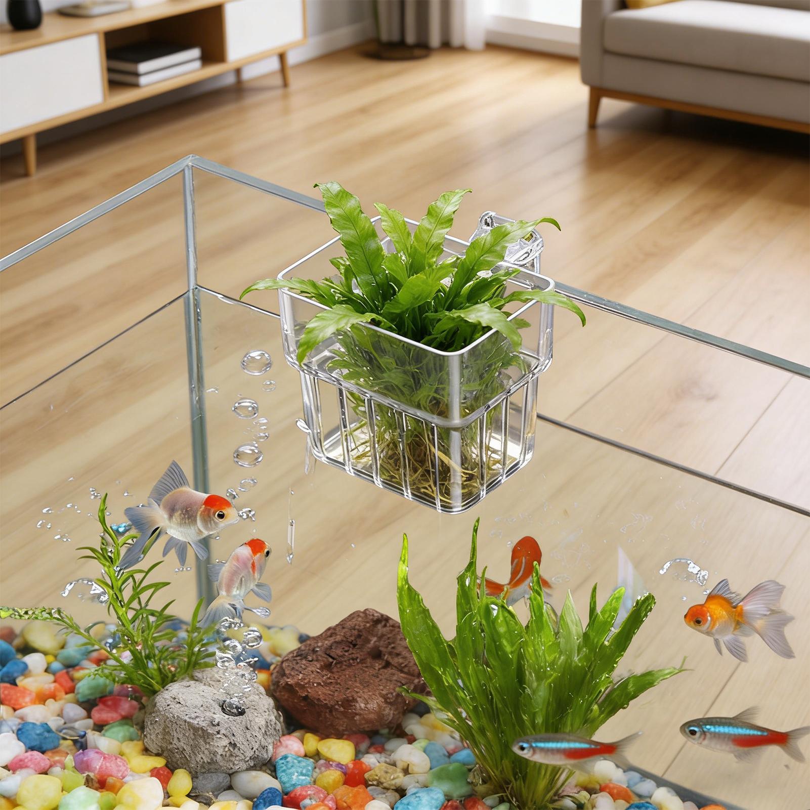 Şeffaf Asılabilir Akvaryum Bit - Hydroponic Grow Pod incelemesi ve fiyatı