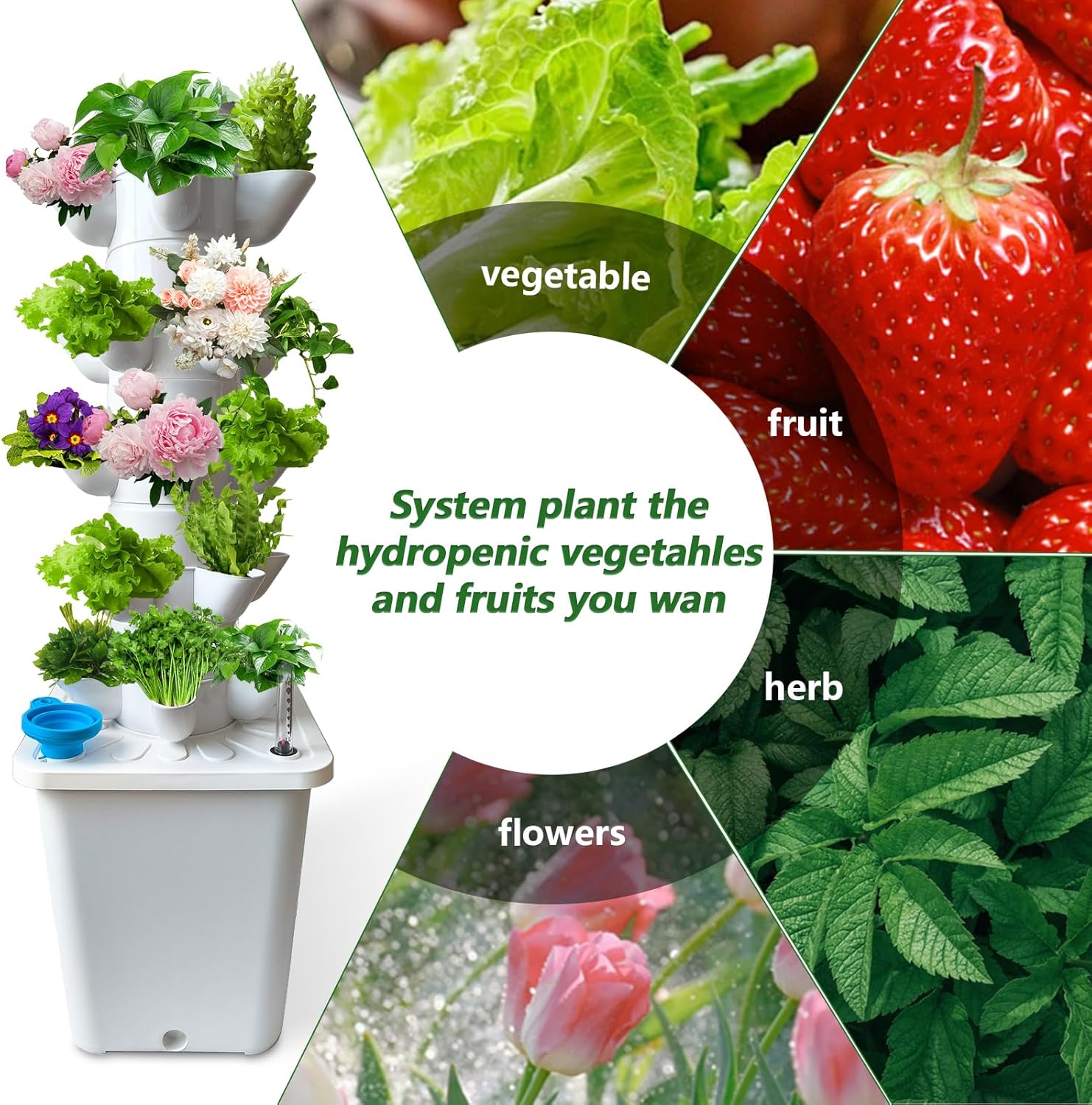 Hidroponik Yetiştirme Sistemi  - Hydroponic Grow Pod incelemesi ve fiyatı