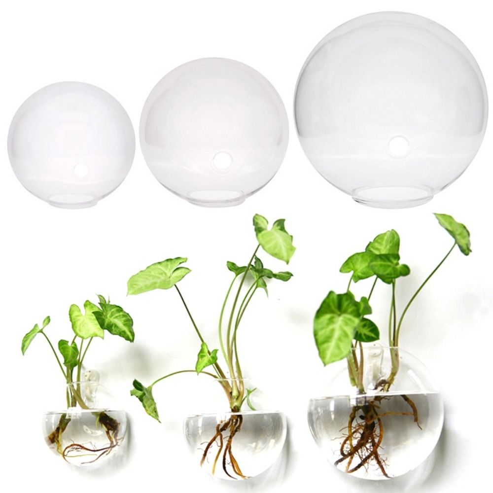 Şeffaf cam vazo duvar asılı hi - Hydroponic Grow Pod incelemesi ve fiyatı