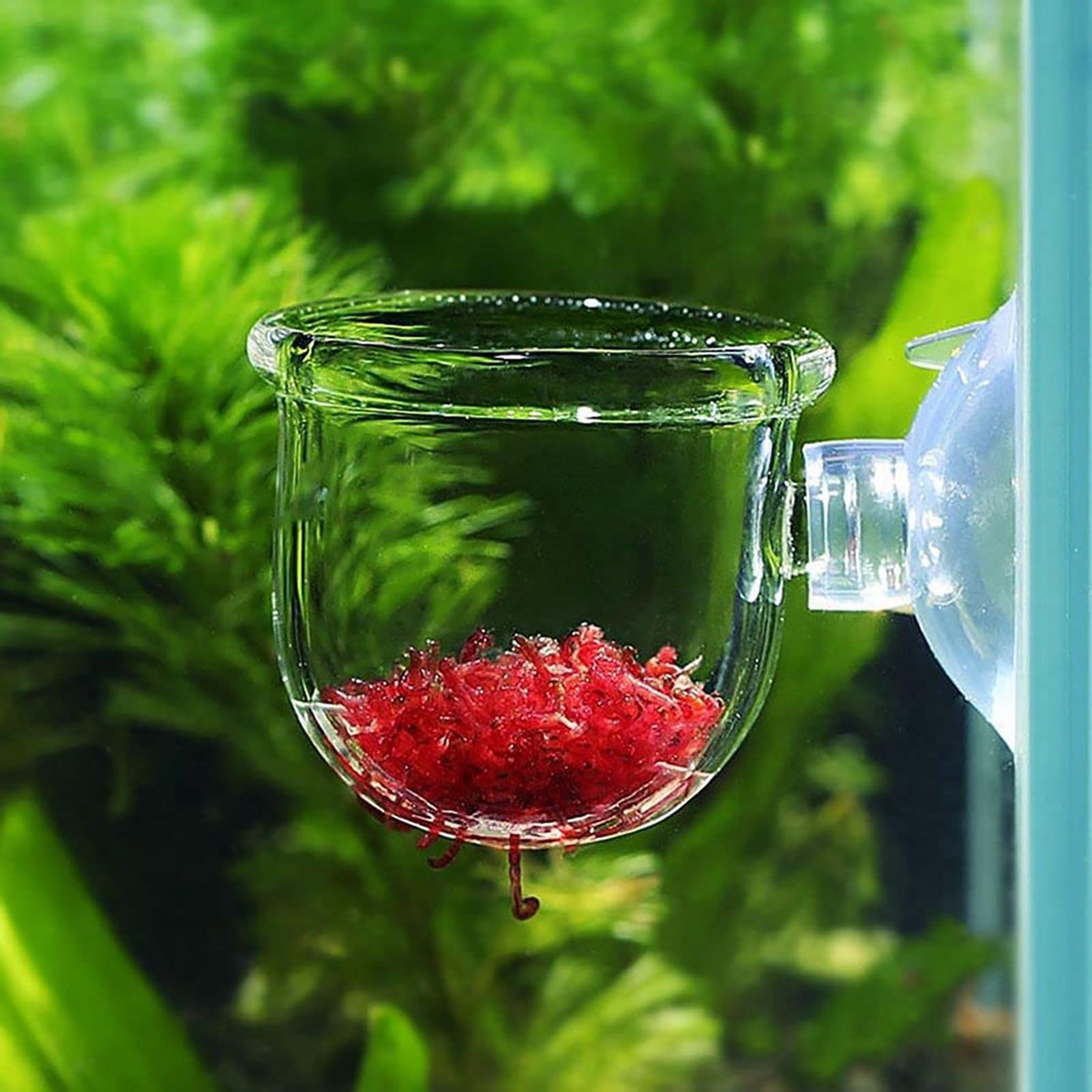 Su Bitkisi Saksısı Şeffaf Akri - Hydroponic Grow Pod incelemesi ve fiyatı