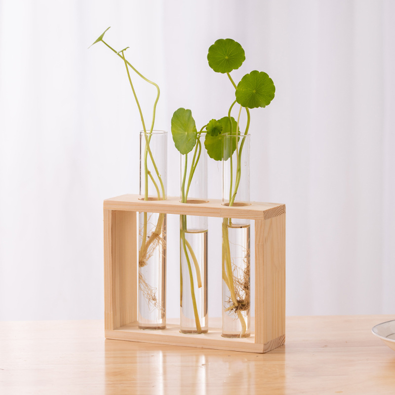 Topraksız Bitkiler Konteyner A - Hydroponic Grow Pod incelemesi ve fiyatı