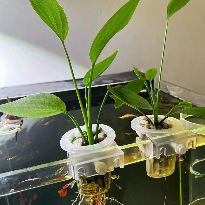 Akvaryum dikim sepeti hidropon - Hydroponic Grow Pod incelemesi ve fiyatı