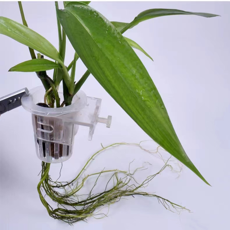 Akvaryum dikim sepeti hidropon - Hydroponic Grow Pod incelemesi ve fiyatı